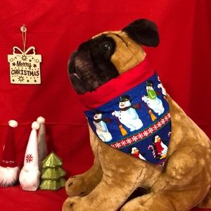 Homemade for all pets bandanna